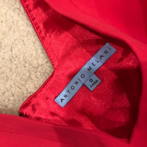 Beautiful Antonio Melani dress - EUC - Picture 3 of 3